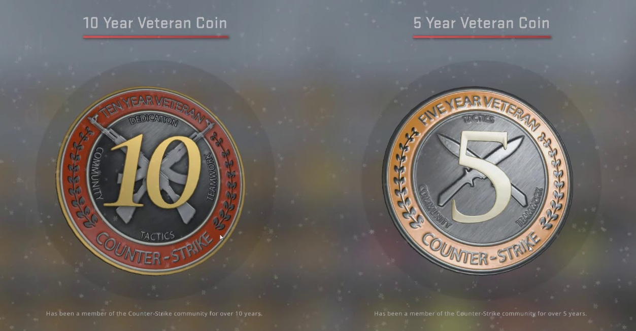 10 Years Veteran Coin CS2